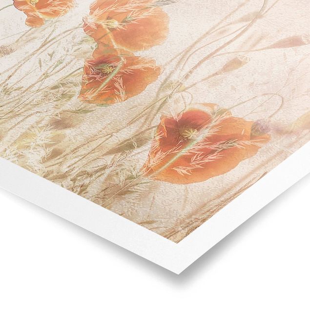 Contemporary art prints Poppy Flowers And Grasses In A Field