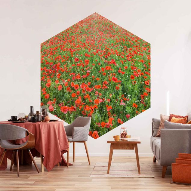 Wallpapers flower Poppy Field