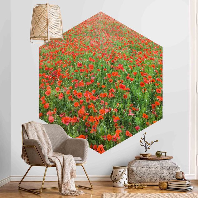 Wallpapers modern Poppy Field