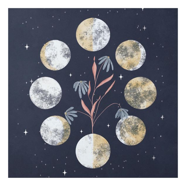 Prints Moon Phases and daisies
