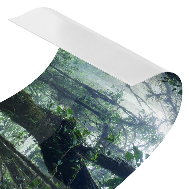 Film adhesive Monteverde Cloud Forest