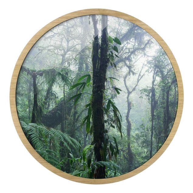Prints modern Monteverde Cloud Forest