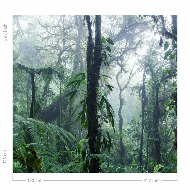 Modern Curtains Monteverde Cloud Forest