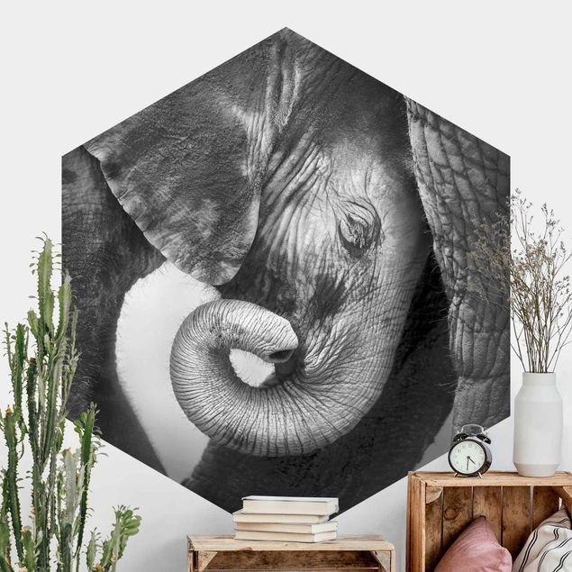 Wallpapers elefant Mother's Love