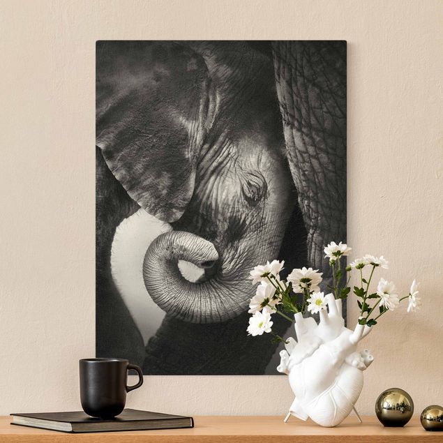 Canvas prints elefant Mother's Love