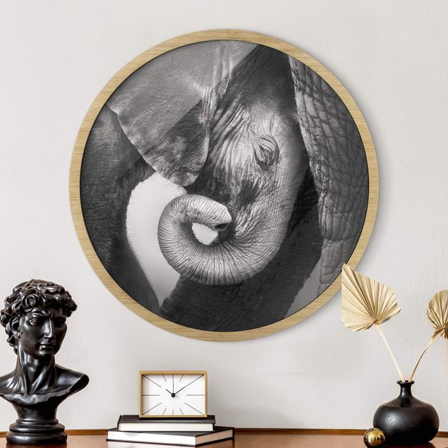 Prints elefant Mother's Love