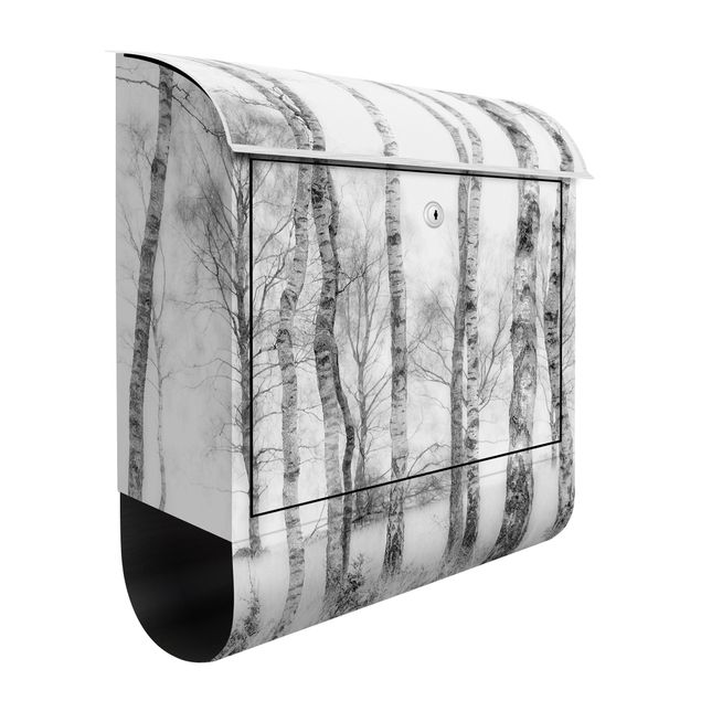 Letterboxes black and white Mystic Birch Forest Black And White