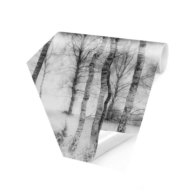 Creme wallpapers Mystic Birch Forest Black And White
