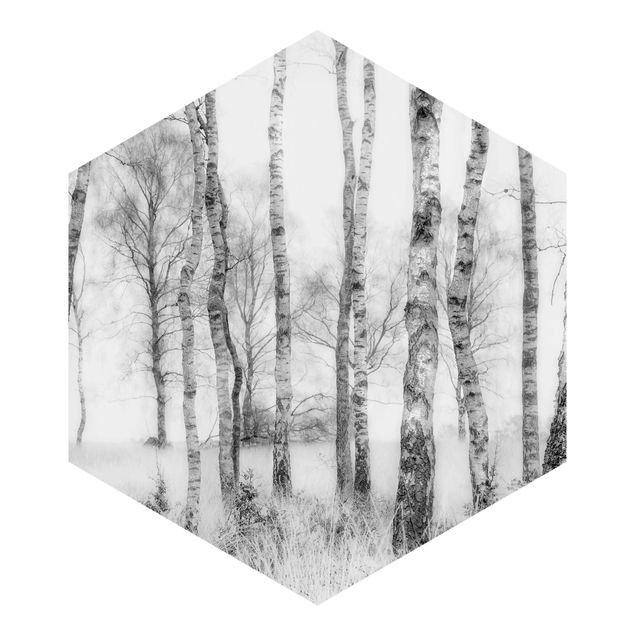 Adhesive wallpaper Mystic Birch Forest Black And White