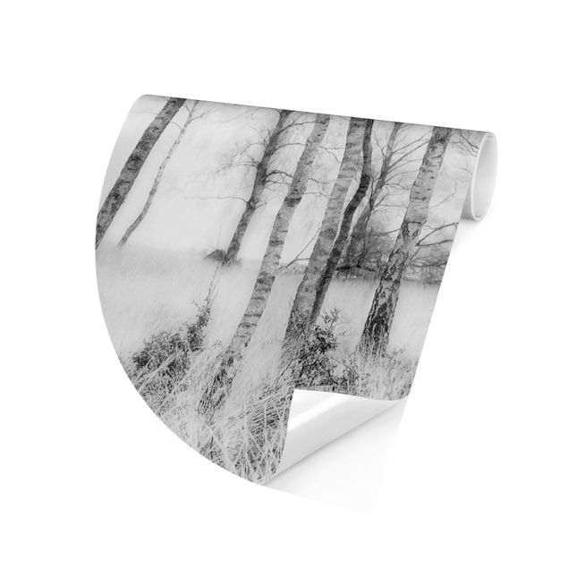 Wallpapers modern Mystic Birch Forest Black And White