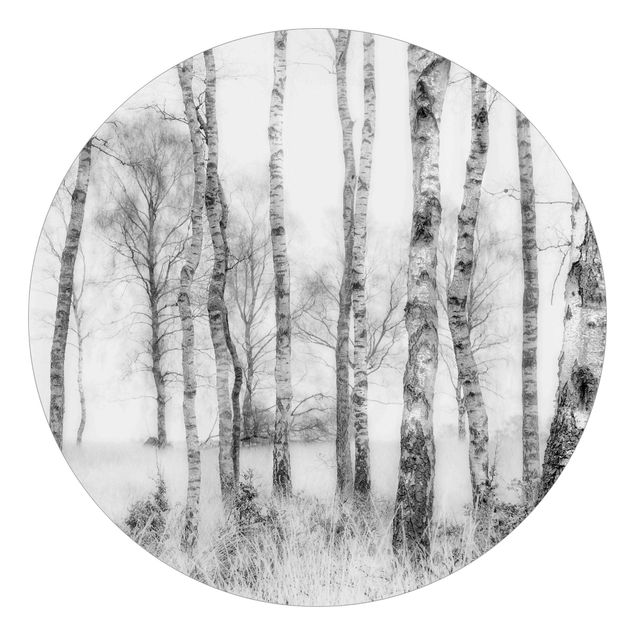 Wallpapers forest Mystic Birch Forest Black And White