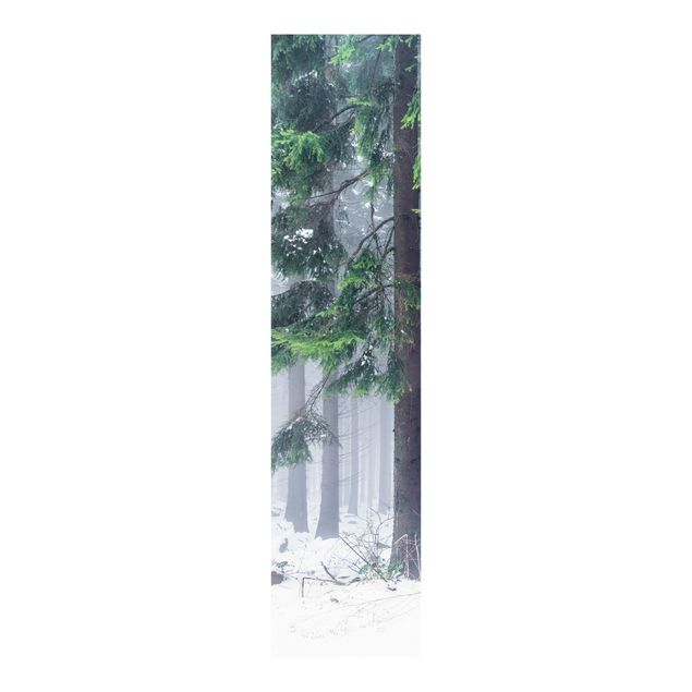 Sliding panel curtains flower Conifers In Winter