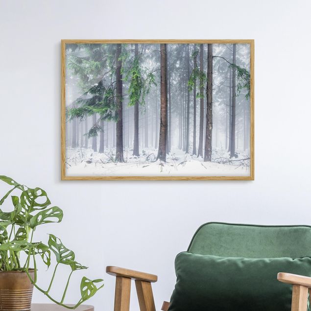Landscape wall art Conifers In Winter