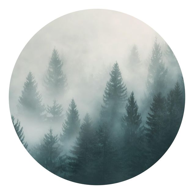 Wallpapers landscape Coniferous Forest In Fog