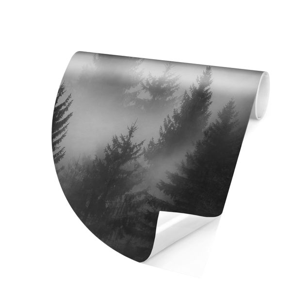 Modern wallpaper designs Coniferous Forest In The Fog Black And White