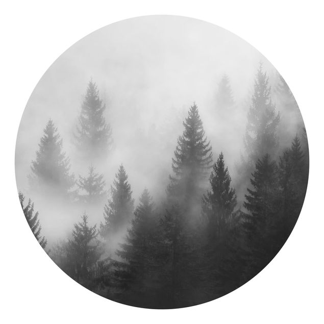 Wallpapers forest Coniferous Forest In The Fog Black And White