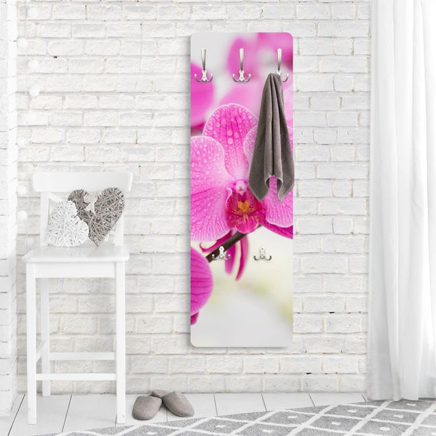 Wall mounted coat rack Close-Up Orchid