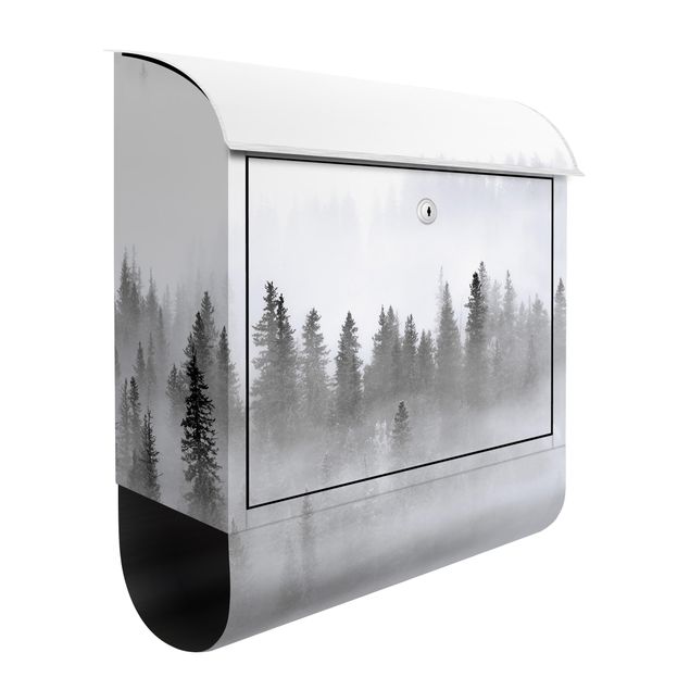 Letterboxes black and white Fog In The Fir Forest Black And White