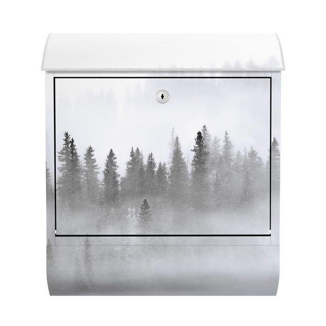 Letterboxes landscape Fog In The Fir Forest Black And White