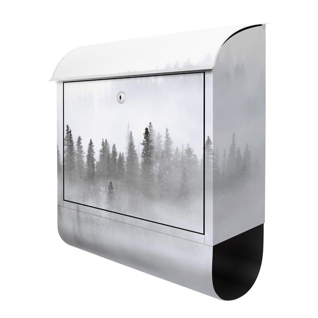Letterboxes black Fog In The Fir Forest Black And White