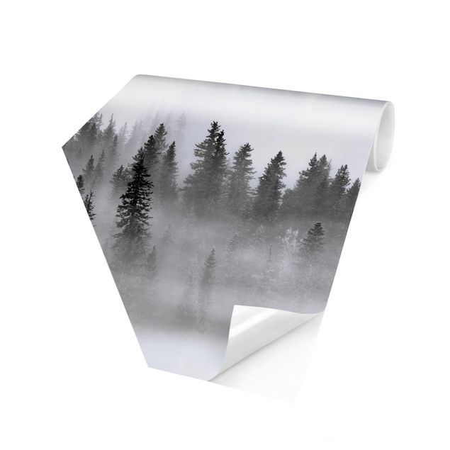 Peel and stick wallpaper Fog In The Fir Forest Black And White