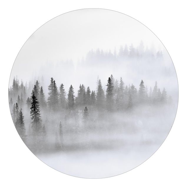 Rainforest wallpaper Fog In The Fir Forest Black And White