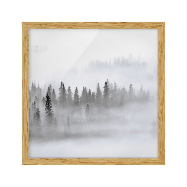 Modern art prints Fog In The Fir Forest Black And White