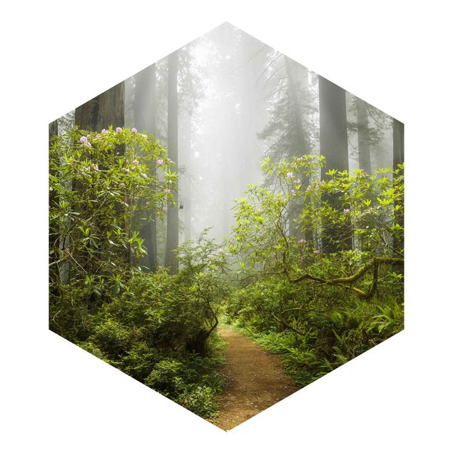 Rainer Mirau Misty Forest Path