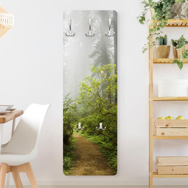 Wall mounted coat rack landscape Misty Forest Path
