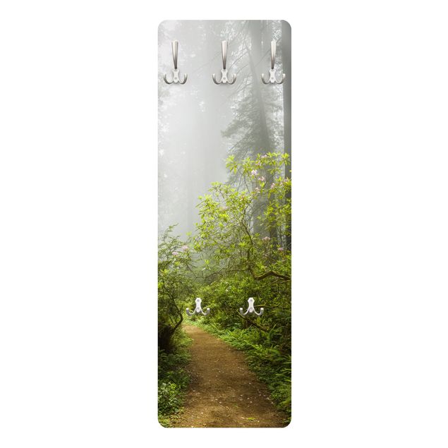 Wall mounted coat rack Misty Forest Path