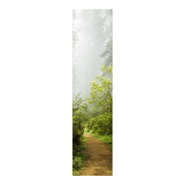 Sliding panel curtains landscape Misty Forest Path