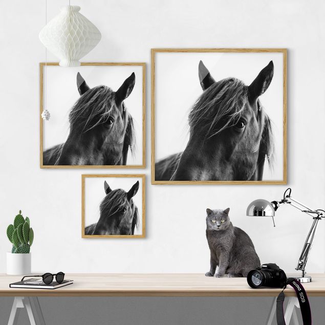 Contemporary art prints Curious Horse
