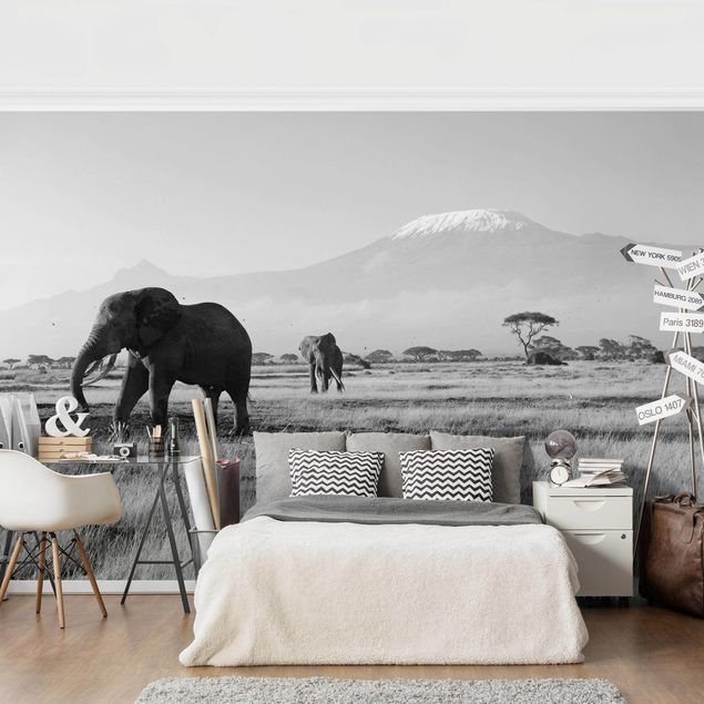 Wallpapers elefant No.287 Elephant In Front Of The Kilimanjaro In Kenya II