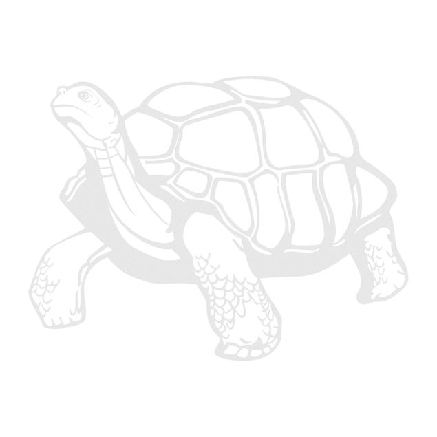 Window stickers animals No.EG11 turtle