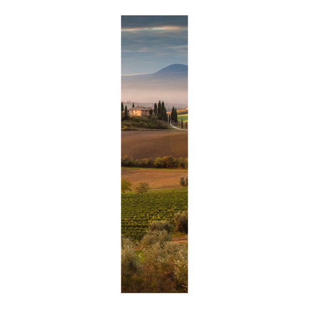 Sliding panel curtains landscape Olive Grove In Tuscany
