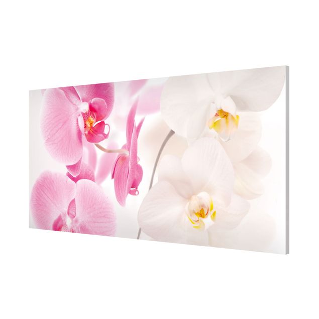 Orchid wall art Delicate Orchids