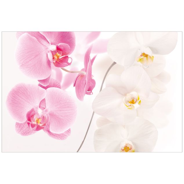 Film adhesive Delicate Orchids