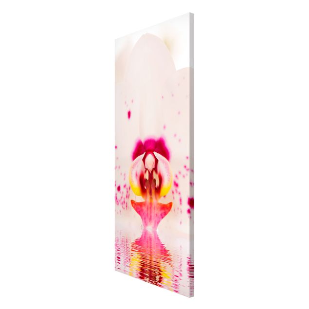 Magnet boards flower Dotted Orchid On Water