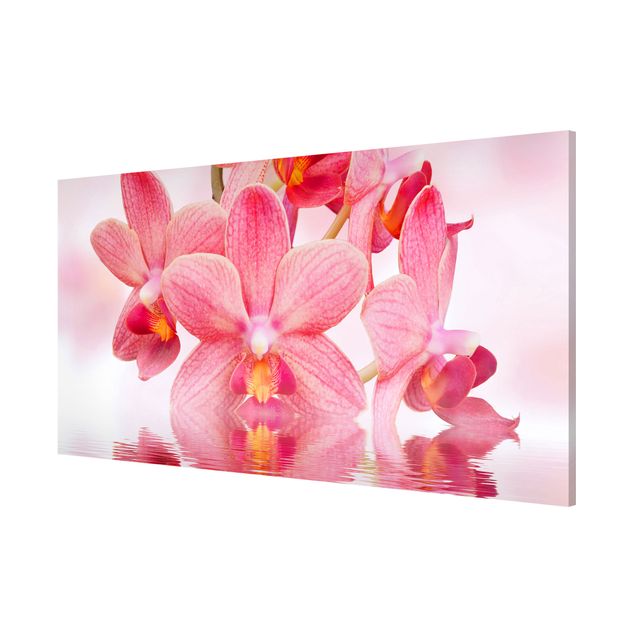 Magnet boards flower Light Pink Orchid On Water