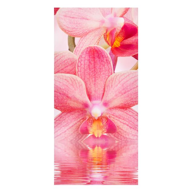 Orchid canvas Light Pink Orchid On Water