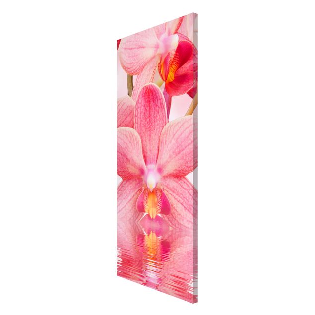 Magnet boards flower Light Pink Orchid On Water