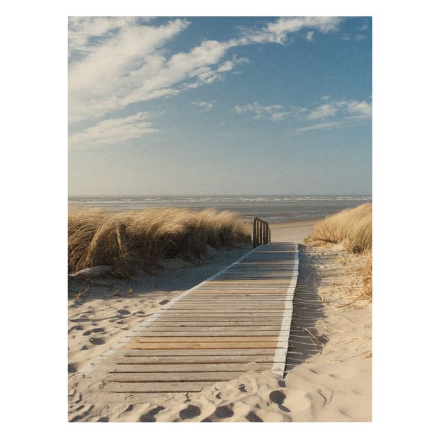 Canvas prints dunes Baltic Sea Beach