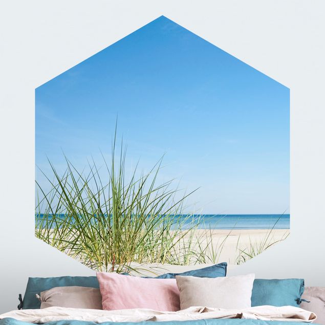 Wallpapers dunes Baltic Sea Coast