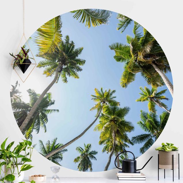 Kitchen Palm Tree Canopy