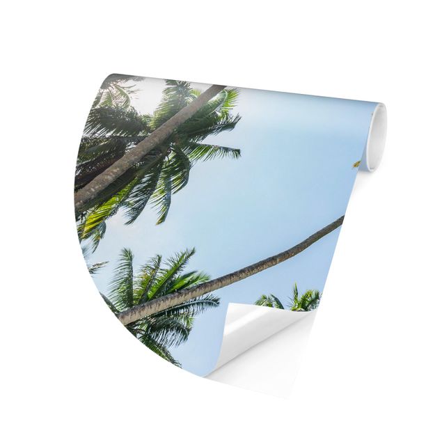 Wallpapers green Palm Tree Canopy