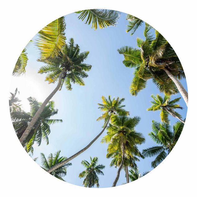 Self adhesive wallpapers Palm Tree Canopy