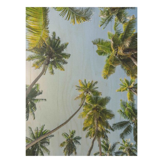 Wood prints landscape Palm Tree Canopy