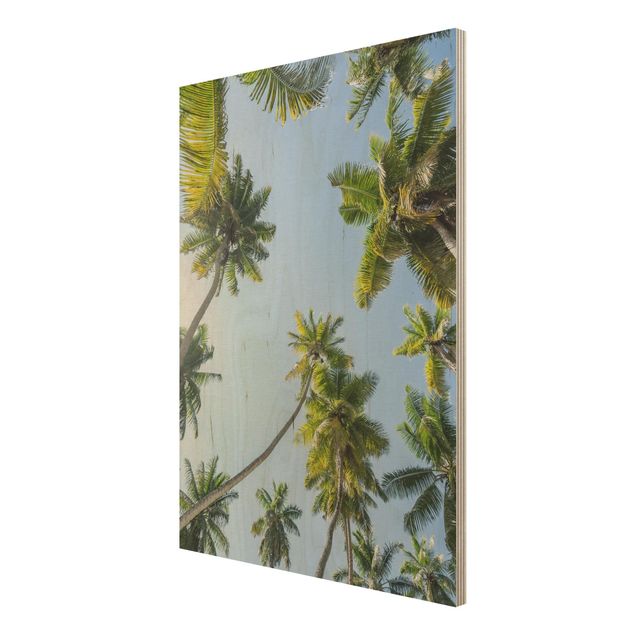 Prints Palm Tree Canopy