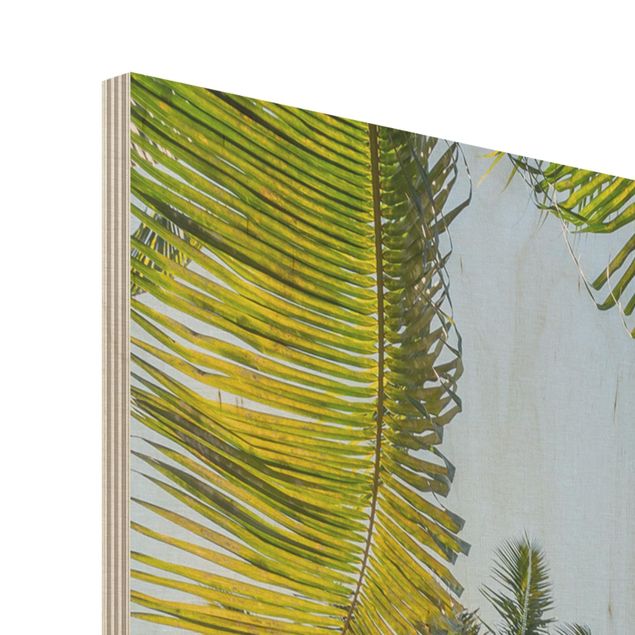 Wood print - Palm Tree Canopy