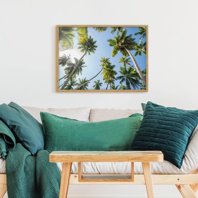 Landscape wall art Palm Tree Canopy
